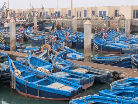 Bateaux bleus