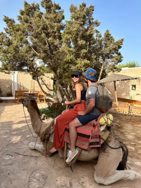 Camel ride